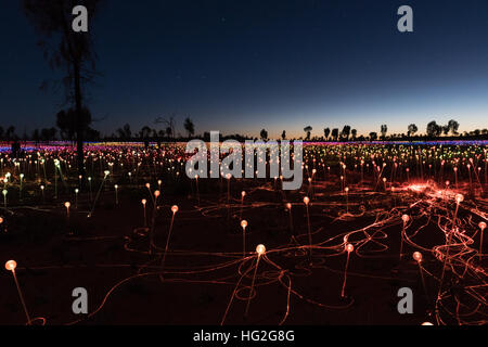 Domaine de la lumière par l'artiste Bruce Monro à Ayers Rock / Uluru, l'Australie a des milliers de lumières colorées Banque D'Images