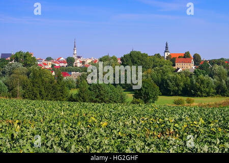 Dans Frankenstein Frankenstein Schlesien - la ville en Silésie, Pologne Banque D'Images