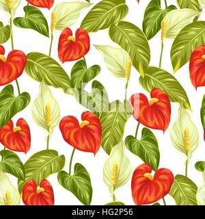 Modèle transparent avec des fleurs d'anthuriums et spathiphyllum Illustration de Vecteur