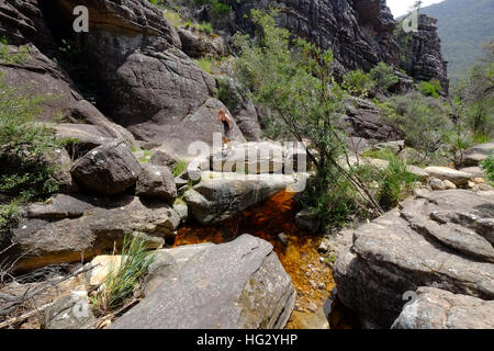 Sur un sentier dans le Parc National des Grampians, Victoria, Australie Banque D'Images