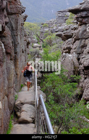 Sur un sentier dans le Parc National des Grampians, Victoria, Australie Banque D'Images