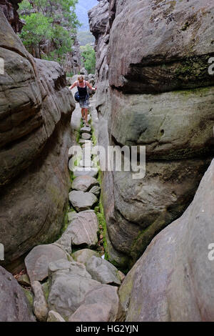 Sur un sentier dans le Parc National des Grampians, Victoria, Australie Banque D'Images