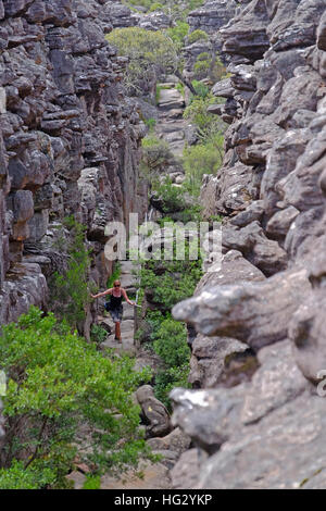 Sur un sentier dans le Parc National des Grampians, Victoria, Australie Banque D'Images