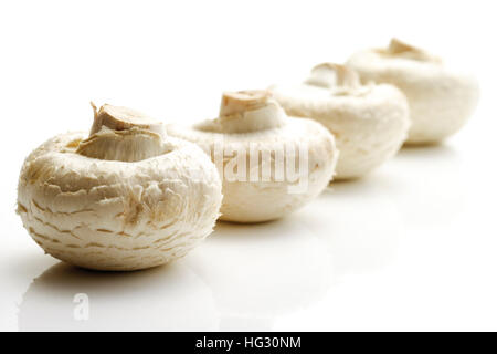 Champignons de Paris, Champignons de couche (Agaricus) Banque D'Images