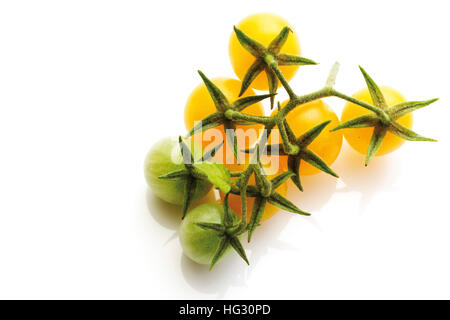 Les tomates cerises jaunes Banque D'Images