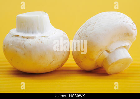 Champignons de Paris, Champignons de couche (Agaricus) Banque D'Images