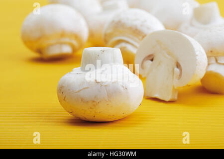 Champignons de Paris, Champignons de couche (Agaricus) Banque D'Images