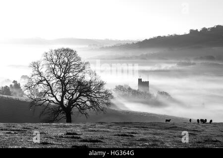 St Marys,église,Dunsford Teign Valley,morning mist, fgarming,uk, en plein air, de rue, ville, maisons, blanc, 24, Lane, attrayante, vieux, Banque D'Images