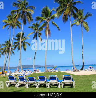 Plage tropicale avec chaises longues bleu et l'herbe sur l'avant-plan Banque D'Images