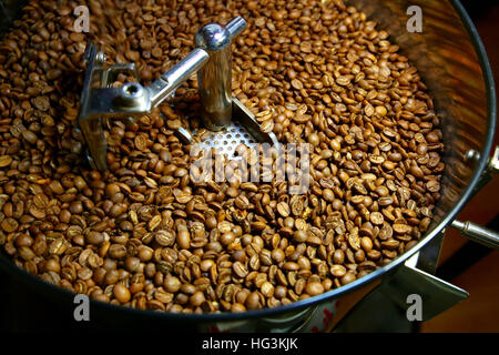 Les grains de café aromatiques fraîchement torréfié sur une machine moderne utilisé pour la cuisson des haricots Banque D'Images