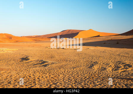 Scenic des crêtes de sable dans les dunes de Sossusvlei, le Parc National Namib Naukluft, meilleure attraction touristique voyage en Namibie. Aventure et d'exploration dans un Banque D'Images