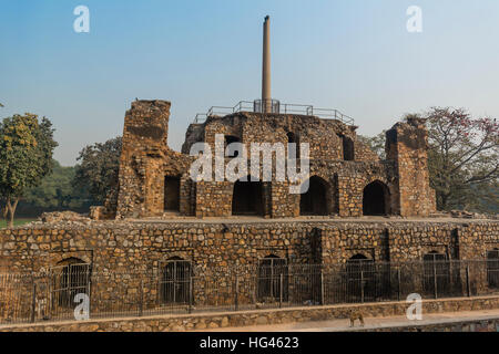 Pilier d'Ashoka sur structure pyramidale et un chien en Feroz Shah Kotla Banque D'Images