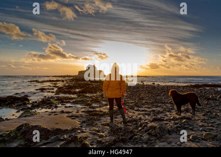 Dame en robe jaune avec son chien noir se dresse sur la chaussée menant à l'église St Cwyfan dans la mer d'Irlande, à regarder un coucher de soleil Banque D'Images