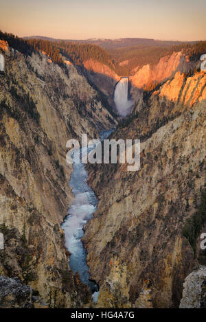 Première lumière du matin à Lower Falls Yellowstone River, Grand canyon du Parc National de Yellowstone. Ciel clair matin avec chute d'eau et rivière throu Banque D'Images