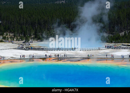 Sentier du célèbre Grand Prismatic Springs dans le Parc National de Yellowstone de high angle view. Belle hot springs avec une couleur bleu vert orange je Banque D'Images