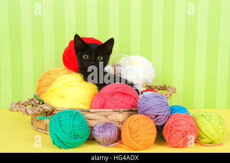 Chaton noir floue bénéficiant d'un endroit confortable dans un crochet panier plein de boules de fils. Marbre jaune à rayures vert avec arrière-plan. Copy Space Banque D'Images