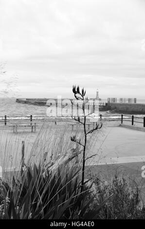 Paysage de rue à Roker Pier et le phare (1903) à Roker, Sunderland Banque D'Images