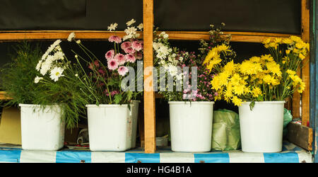 Différents types de fleurs dans un pot blanc photo prise en Semarang Indonésie Banque D'Images