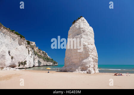 Pizzomunno rock, le Castello beach, Vieste, Gargano, Province de Foggia, Pouilles, Italie, Méditerranée Banque D'Images