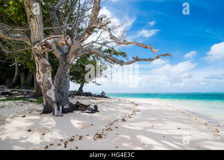 Sable blanc et eau turquoise à Laura (Lowrah), l'atoll de Majuro, Majuro (Îles Marshall), Pacifique Sud Banque D'Images