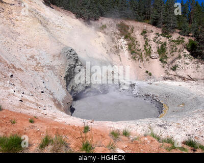 Région du volcan de boue, le Parc National de Yellowstone Banque D'Images