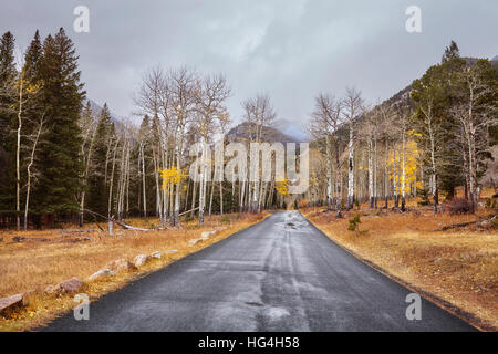Automne route après la pluie dans le Parc National des Montagnes Rocheuses, au Colorado Banque D'Images