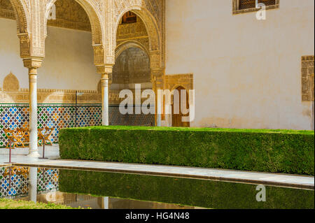 Patio de los Arrayanes, la Cour des Myrtes avec réflexion, de bonzaïs, Palais Nasrides Alhambra de Grenade, Andalousie, Espagne Banque D'Images