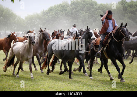 Festival Gaucho le jour de la Tradition, San Antonio de Areco, La Pampa, en Argentine, en Amérique du Sud Banque D'Images