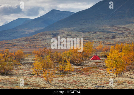 Dôme rouge tente dans la vallée / Døråldalen Doraldalen, Rondane National Park, Dovre, Oppland, Norvège Banque D'Images