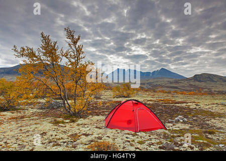 Dôme rouge tente dans la vallée / Døråldalen Doraldalen, Rondane National Park, Dovre, Oppland, Norvège Banque D'Images