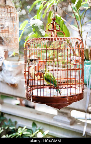 Cage à oiseau vert à Hong Kong Yuen Po Jardin des Oiseaux Banque D'Images