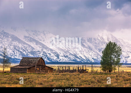 Mormon Row est une ligne de complexes de homestead le long de la route près d'Jackson-Moran l'angle sud-est du Parc National de Grand Teton. Banque D'Images