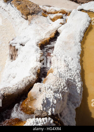 Les mines de sel de Maras à Marasal, Vallée Sacrée, Pérou Banque D'Images