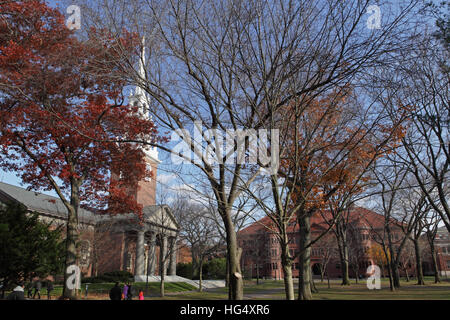 Campus de l'Université de Harvard sur un matin d'automne. De l'Église Mémorial spire apparaît sur la gauche et Sever située sur l'avant. Banque D'Images