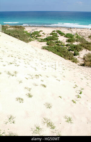 Dune de sable de Arher Beach sur l'île de Socotra, au Yémen Banque D'Images