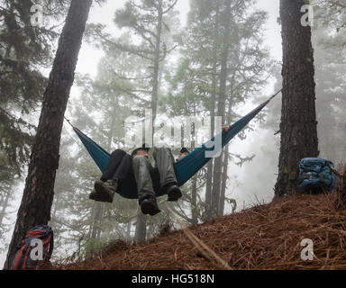D'âge mûr de la randonnée, de détente dans l'hamac dans misty forêt de pins. Banque D'Images