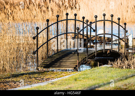 Petit et étroit pont sur tapis roulant sur un ruisseau dans la côte. Belle balustrade et voie arquée sur le pont. Reed et la rive en arrière-plan. Banque D'Images