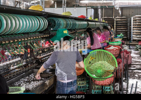 Les travailleurs de l'usine de soie Cocons de trempage pour libérer le fil de soie, Banque D'Images