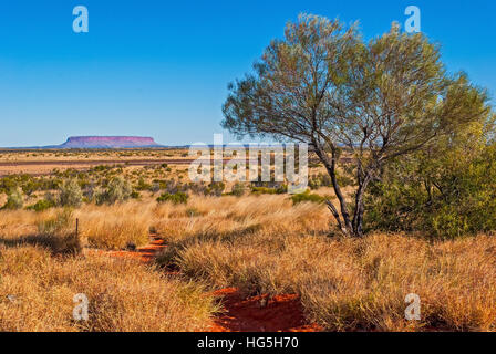 Australian bush (outback) Banque D'Images
