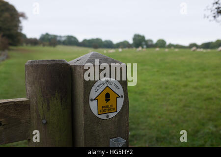 Cotswold Way un signe sur une clôture près de Broadway, des Cotswolds. Banque D'Images