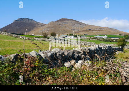 Murs en pierre sèche dans le montagnes de Mourne dans le comté de Down typique de champs dans l'élevage du mouton Irlande Banque D'Images