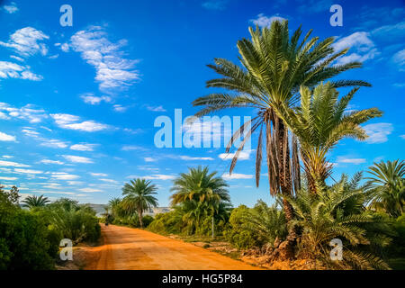 Chemin rural dans la partie sud de Madagascar Banque D'Images