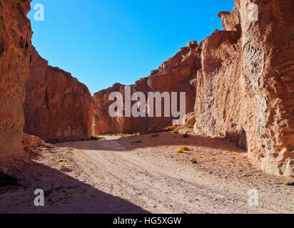 La Bolivie, Potosi, ni Departmant Lipez Province, Valle de las Rocas, paysage de l'Italia Perdida. Banque D'Images