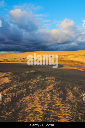 L'Uruguay, Rocha Ministère, Cabo Polonio, vue sur les dunes au lever du soleil. Banque D'Images