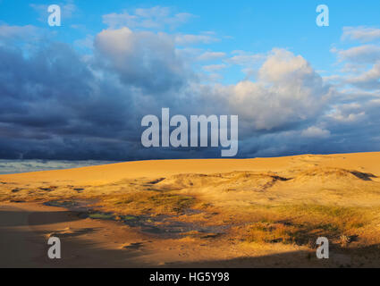 L'Uruguay, Rocha Ministère, Cabo Polonio, vue sur les dunes au lever du soleil. Banque D'Images