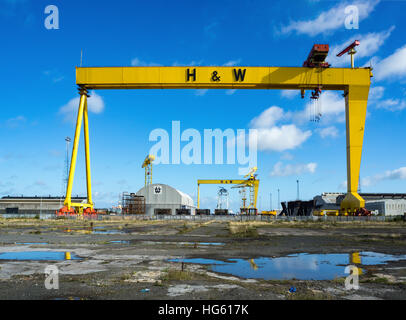 Samson et Goliath. La construction navale 1 portiques dans Titanic Quarter, célèbre monument de Belfast Banque D'Images