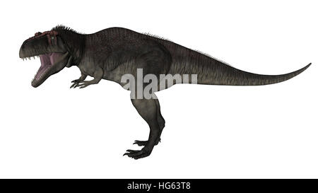 Tyrannotitan rugissant de dinosaures, fond blanc. Banque D'Images