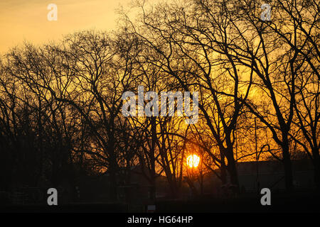 Londres se réveille pour une couverture de givre et d'un lever du soleil d'or sur un lundi matin très froid (05Dec16) comprend : Atmosphère Où : London, Royaume-Uni Quand : 05 déc 2016 Banque D'Images