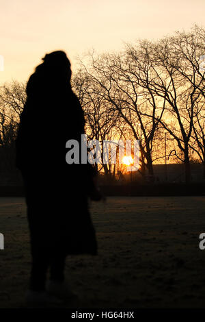 Londres se réveille pour une couverture de givre et d'un lever du soleil d'or sur un lundi matin très froid (05Dec16) comprend : Atmosphère Où : London, Royaume-Uni Quand : 05 déc 2016 Banque D'Images