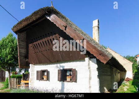 Cak (Zackenbach) : maison d'habitation avec toit de chaume dans le parc naturel avec l'Günser Geschriebenstein-Irottkö, montagnes , Vas, Hongrie Banque D'Images